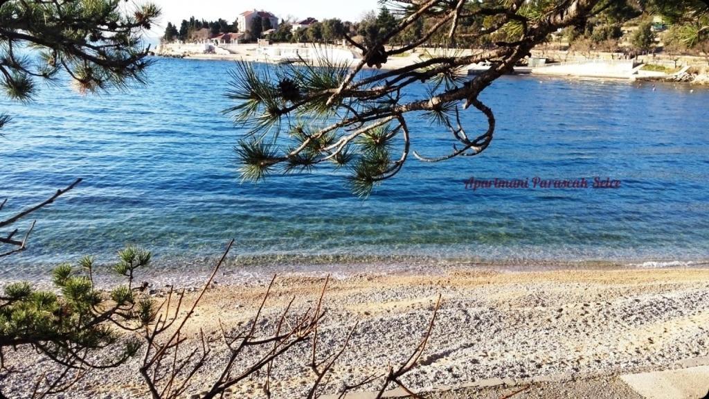 Adriatic 3 Selce
