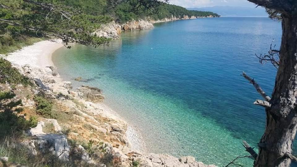 Apartment Adriatic 3 *